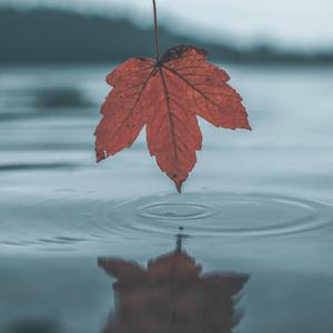 外国spankspankling网站gay
