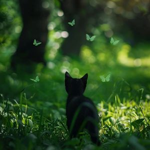 外国spankspankling网站gay
